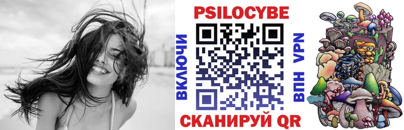 Псилоцибиновые грибы Psilocybe  Купить закладки  Сураж 